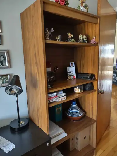 Brown bookcases (2), View more