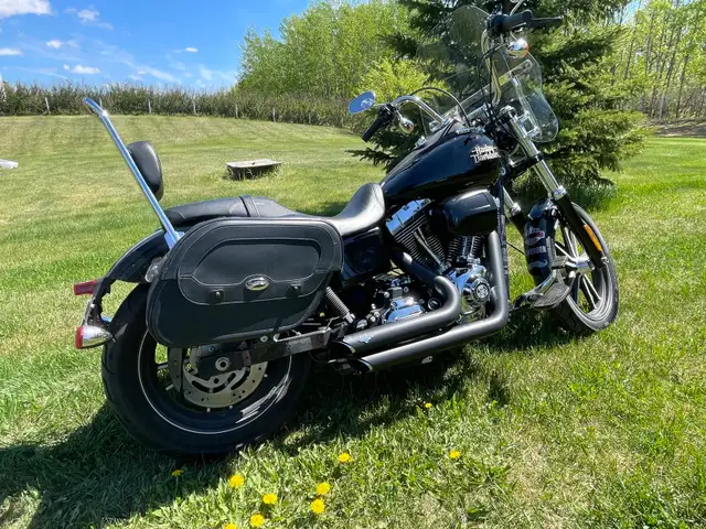 2013 Harley Davidson Street Bob in Street, Cruisers & Choppers in Edmonton - Image 3