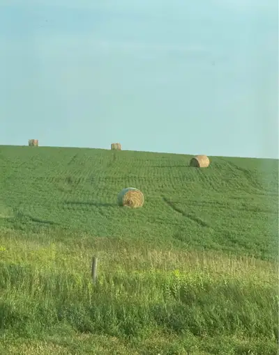 100-150 hay bales. Alfalfa, brome, crested wheat mix. 1350-1450lbs. Can load in the field. Located 1...