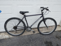 Concord mountain bike (18.5" frame)