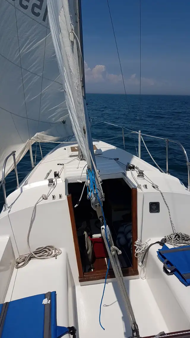 Paceship P23 Sailboat in Sailboats in St. Catharines - Image 9