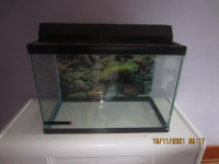 Fish Tank + Filter, Decor, Gravel, Etc.