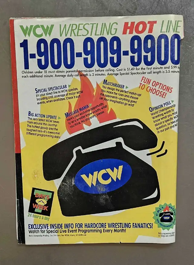 VINTAGE 1990S WWF PRESENTS WRESTLING  POSTERS MAGAZINE SETS WWE in Arts & Collectibles in Oakville / Halton Region - Image 8