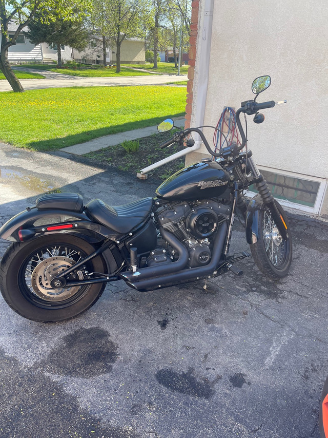 2019 Harley Davidson Street Bob in Street, Cruisers & Choppers in Winnipeg