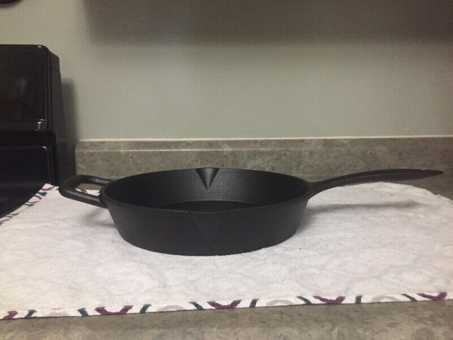 Lagostina 10 1/4" Cast Iron Pan in Arts & Collectibles in Belleville