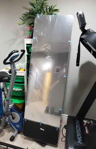 Peletron Mirror and Weights, View more