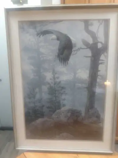 Eagle Nature Print in Frame, View more