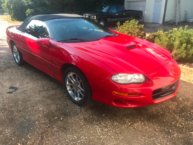 2002 Camaro SS Convertable in Cars & Trucks in St. Albert