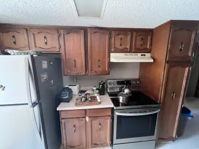 [Pending/Unavailable] Free Cabinets, View more