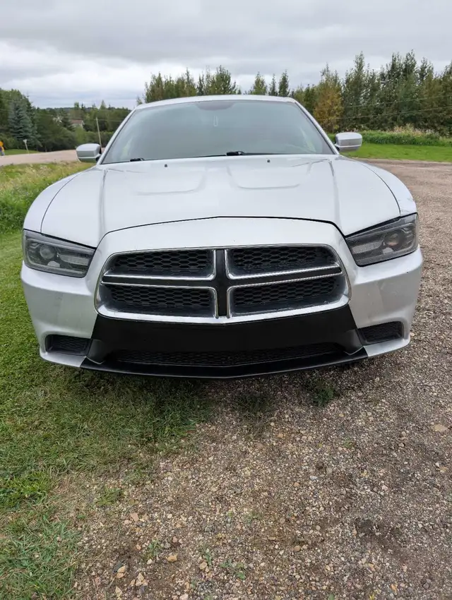 Dodge Charger558375872821340162