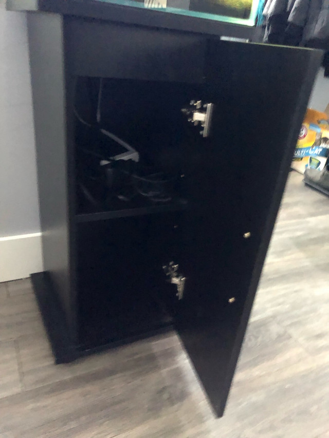 10 Gallon Rimless Cube Aquarium with Stand in Fish for Rehoming in Barrie - Image 2