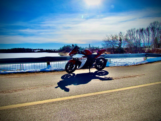 2015 Yamaha YZF R3 in Sport Bikes in Summerside - Image 3