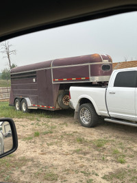 Southland horse trailer 