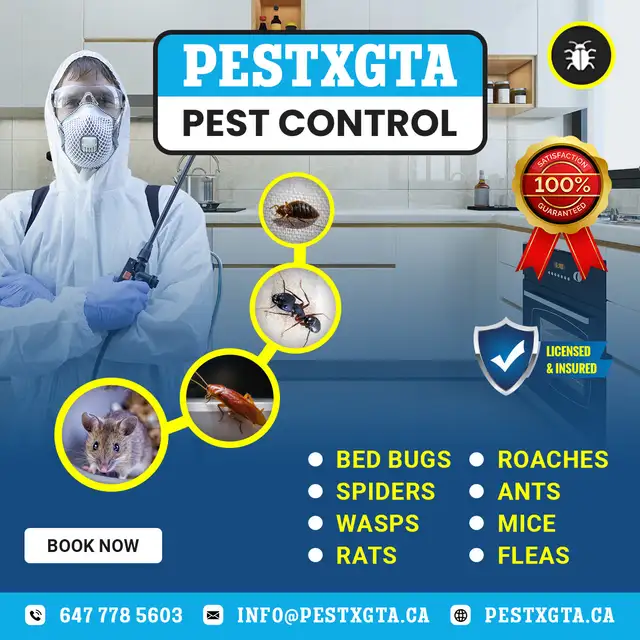 Pest Control Services | Roaches | Mice | Rats63235433313793123