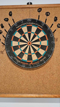 Nodor wiftflyte official dart board