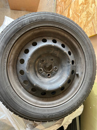 Toyo Tires on Steel Rims - P205/55R16 89T