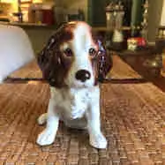 MCM Ceramic Springer Spaniel Dog Made In England By Sylvac F18 5”h x 6”d x 3”w Follow on instagram @...