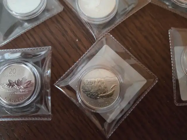 20$ pour 20$ Monnaie Royale du Canada in Other in Drummondville - Image 7