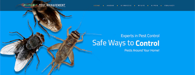 AFFORDABLE 24/7 PEST CONTROL! in Other in Oshawa / Durham Region - Image 4