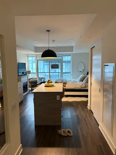 Lease Takeover Available! – 410 Dufferin St, Toronto (The Brixton). I'm heading off in September to...