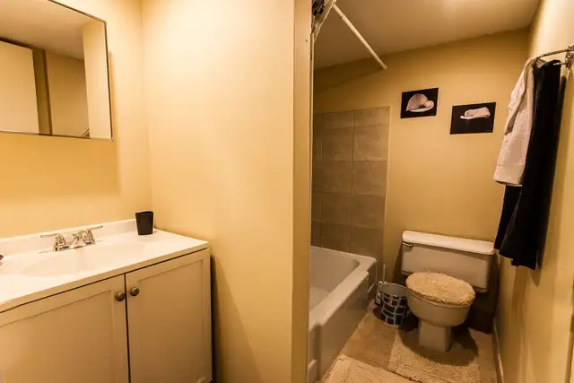 Bachelor apartment for May 1st