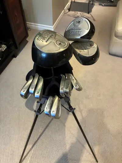 Clubs are in pristine condition and great for beginners to intermediate golfers. They are light weig...