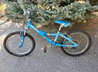 Trek bike 20 inch