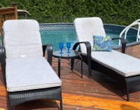 Two poolside lounge chairs.  Great condition!