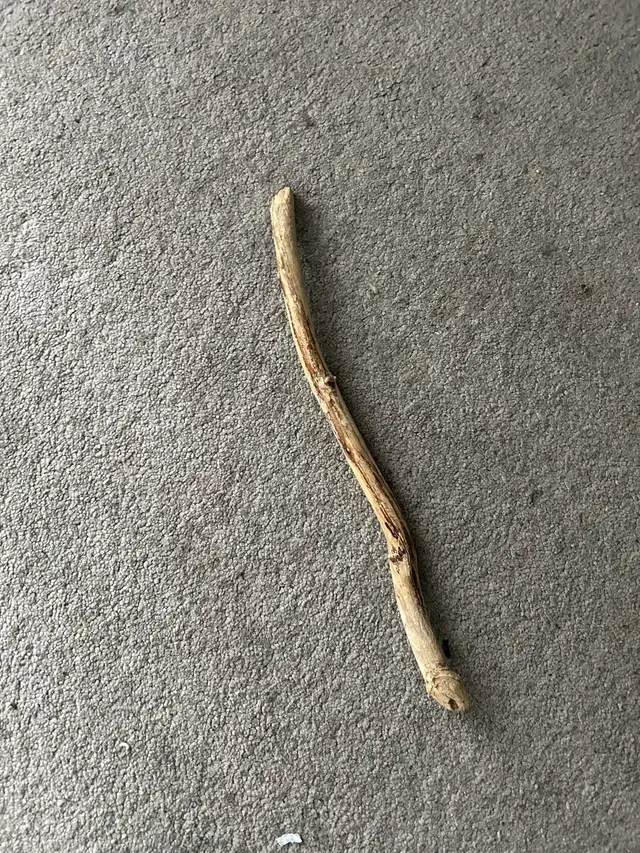 Weekend Plans?
