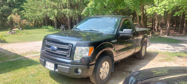 2013 F150 stx in Cars & Trucks in Owen Sound - Image 2