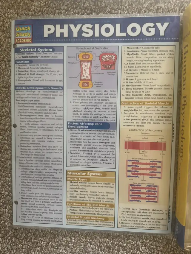 new human physiology textbook bundle deal $80 in Textbooks in Edmonton - Image 4