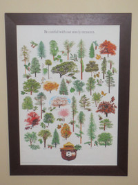 3 Vintage Smokey the Bear U.S. Department of Agriculture Posters