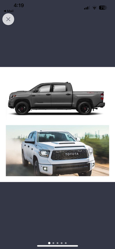 IN SEARCH OF: 2021 Tundra TRD Platinum 