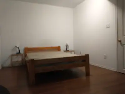 Share basement room for rent Walk to Sirocco Ctrain station