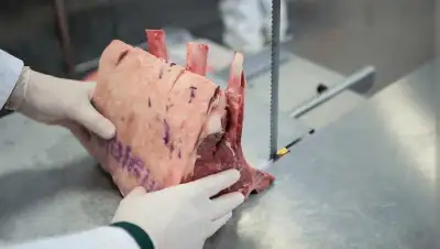 Job Title: Bandsaw Operator/ Frozen meat cutter/Butcher Location: Mississauga, ON Job Type: Full-tim...
