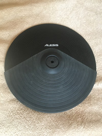 Alesis Cymbal pad. DM12