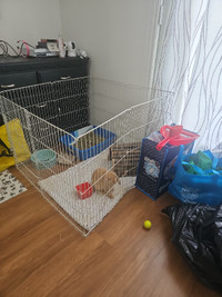 Small pet play and exercise pen