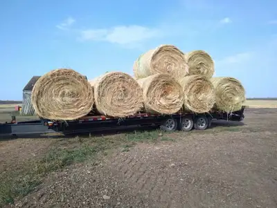Hi I got 153 Greenfeed haymaker oats / tame oats bales forsale With some grain in bales , no rain Sw...