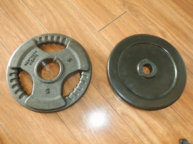 Dumbell Poids 5 / 6 LB altère Plate Plaquette dans Appareils d'exercice domestique  à Laval/Rive Nord