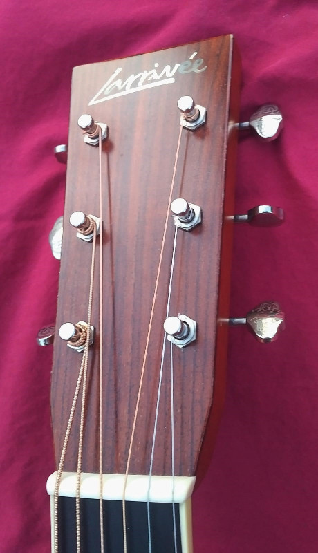 Larivee D-50 - Beautifully Inlayed Mahogany Dreadnought, 2010 in Guitars in St. John's - Image 3
