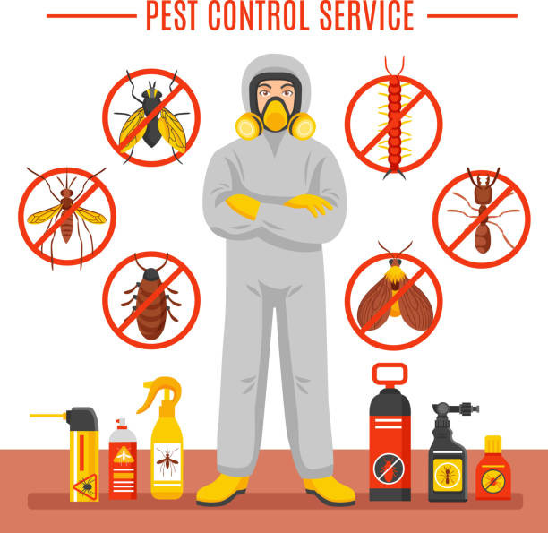 ☎️ 6476918584 ⭐ Pest Control ⭐ Racoon ⭐ Roaches ⭐ Mississauga - Norfolk County in Other in Norfolk County - Image 3