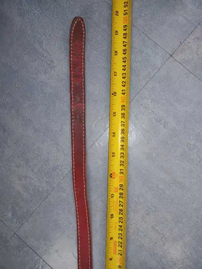 collier chien, View more