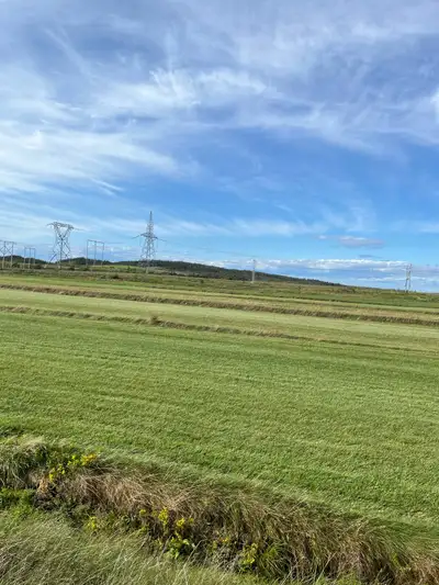 Looking for a few labourers for the season for landscaping operations, mowing, and sod farm operatio...