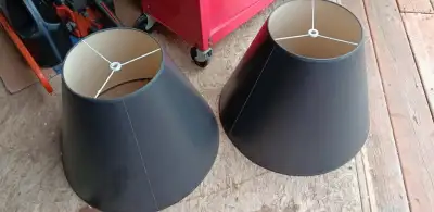 Two Lamp Shades , View more
