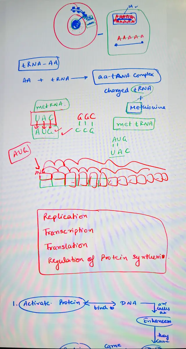 Physics Chemistry Biology Maths Grade 11 -12 Female in Tutors & Languages in Ottawa - Image 6
