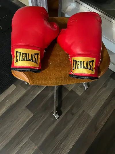 Everlast Boxing Gloves for Sale!, View more