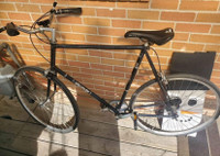 XL 62cm Raleigh bike