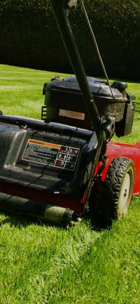 Grass/Lawn Cutting and Trimming 226-759-8611