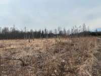 Pasture / Scrub land for goats sheep cattle 