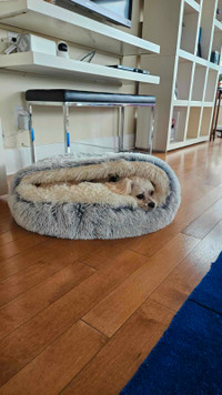 Dog Bed/Totally New!!